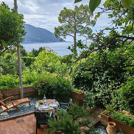 La Taverna Di Mulinetti Recco