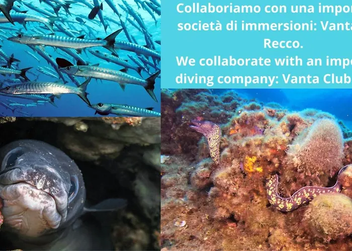 La Taverna Di Mulinetti レッコ